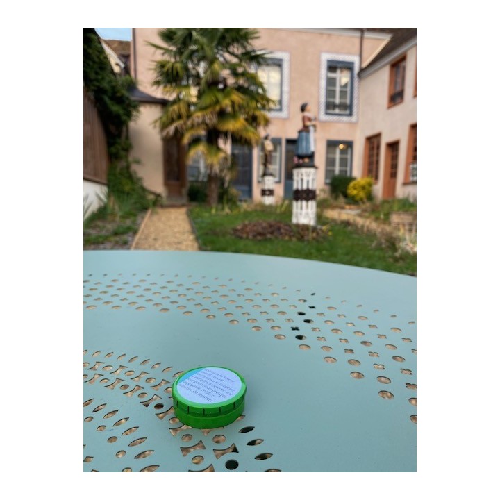 Boîte pastilles menthes rafraîchissantes